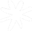 Image shape